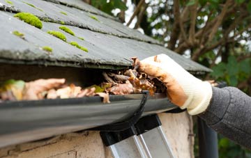 gutter cleaning Synderford, Dorset