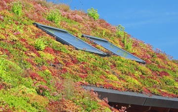 Synderford living roof systems