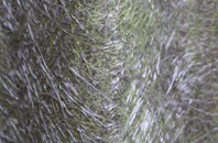 Synderford fibreglass roof work